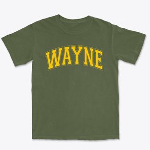 Wayne Elementary School Varsity Arch Premium Heavyweight T-shirt