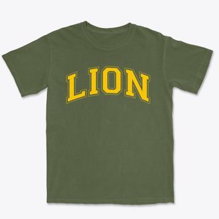 Leaders In Our Neighborhood Charter School Varsity Arch Premium Heavyweight T-shirt
