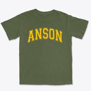 Anson Middle School Varsity Arch Premium Heavyweight T-shirt