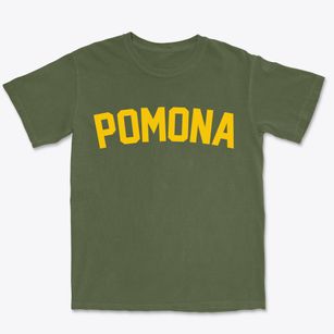 Pomona New Jersey Classic Curve Premium Heavyweight T-shirt