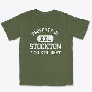 Stockton Illinois Athletic Dept Premium Heavyweight T-shirt