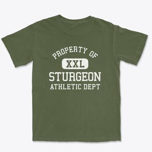 Sturgeon Missouri Athletic Dept Premium Heavyweight T-shirt