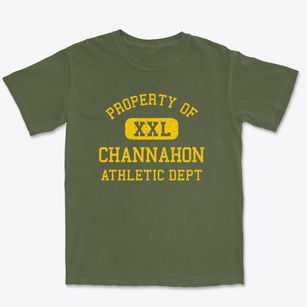 Channahon Illinois Athletic Dept Premium Heavyweight T-shirt