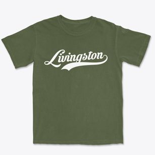 Livingston New York Vintage Team Premium Heavyweight T-shirt