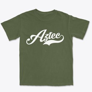Aztec Arizona Vintage Team Premium Heavyweight T-shirt
