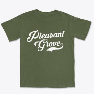 Pleasant Grove Alabama Vintage Team Premium Heavyweight T-shirt