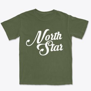 North Star Delaware Vintage Team Premium Heavyweight T-shirt