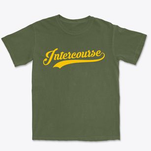 Intercourse Pennsylvania Vintage Team Premium Heavyweight T-shirt