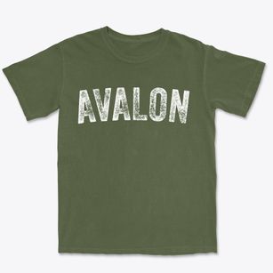 Avalon New Jersey Timeless Retro Premium Heavyweight T-shirt