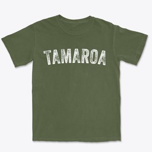 Tamaroa Illinois Timeless Retro Premium Heavyweight T-shirt