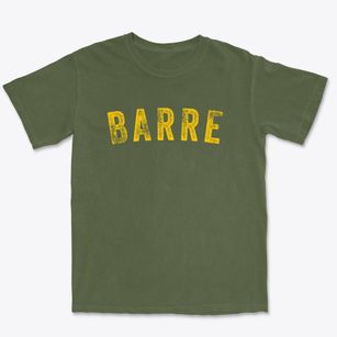 Barre Wisconsin Timeless Retro Premium Heavyweight T-shirt