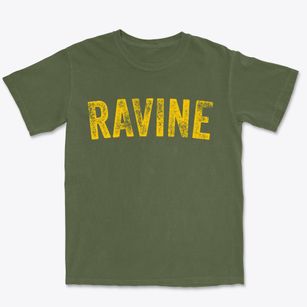 Ravine Pennsylvania Timeless Retro Premium Heavyweight T-shirt