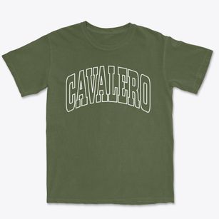 Cavalero Washington Trendy Block Premium Heavyweight T-shirt