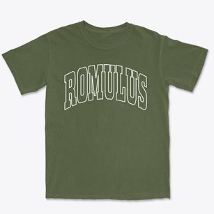 Romulus Michigan Trendy Block Premium Heavyweight T-shirt