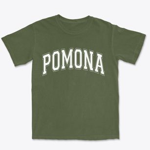 Pomona New York Varsity Premium Heavyweight T-shirt