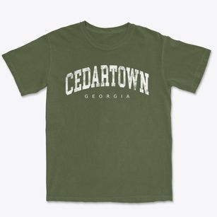 Cedartown Georgia Urban Vibe Premium Heavyweight T-shirt