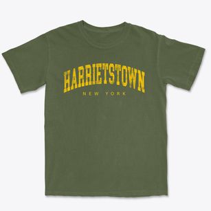 Harrietstown New York Urban Vibe Premium Heavyweight T-shirt