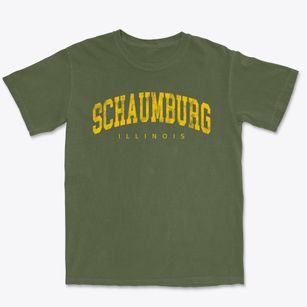 Schaumburg Illinois Urban Vibe Premium Heavyweight T-shirt