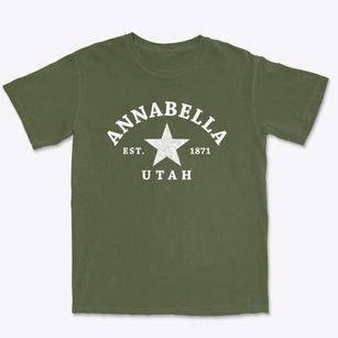 Annabella Utah Star Premium Heavyweight T-shirt