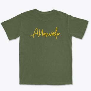 Allenvale Pennsylvania Freestyle Premium Heavyweight T-shirt