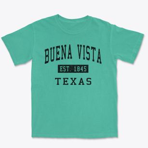 Buena Vista Texas Classic Established Premium Heavyweight T-shirt