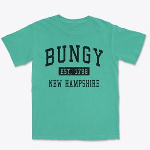 Bungy New Hampshire Classic Established Premium Heavyweight T-shirt