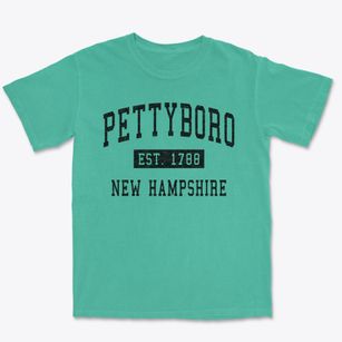 Pettyboro New Hampshire Classic Established Premium Heavyweight T-shirt