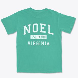 Noel Virginia Classic Established Premium Heavyweight T-shirt