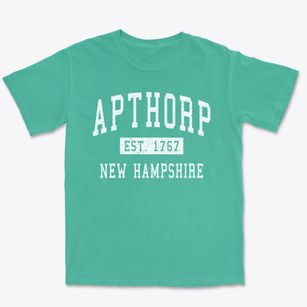 Apthorp New Hampshire Classic Established Premium Heavyweight T-shirt