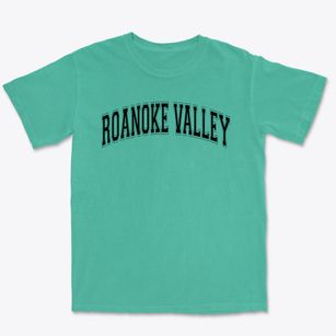 Roanoke Valley Science And Technical Varsity Arch Premium Heavyweight T-shirt
