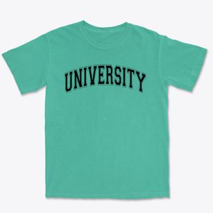 University High School Varsity Arch Premium Heavyweight T-shirt