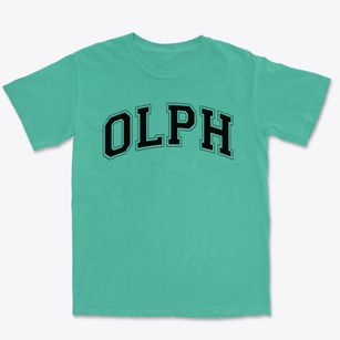Our Lady Of Perpetual Help School Varsity Arch Premium Heavyweight T-shirt