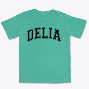 Delia Elementay School Varsity Arch Premium Heavyweight T-shirt