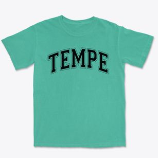 Tempe Montessori School Varsity Arch Premium Heavyweight T-shirt
