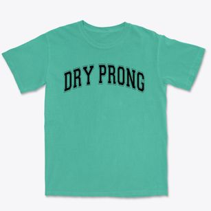 Dry Prong Junior High School Varsity Arch Premium Heavyweight T-shirt
