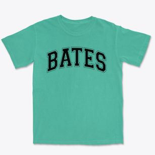 Wiley H Bates Middle School Varsity Arch Premium Heavyweight T-shirt