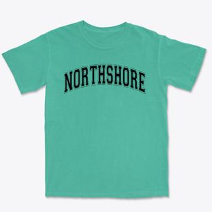 Northshore Elementary School Varsity Arch Premium Heavyweight T-shirt