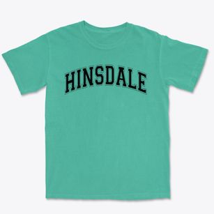 Hinsdale Elementary School Varsity Arch Premium Heavyweight T-shirt