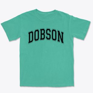 Dobson Elementary School Varsity Arch Premium Heavyweight T-shirt