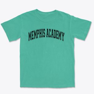 Memphis Academy Of Science & Engineering Varsity Arch Premium Heavyweight T-shirt