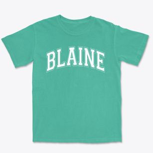 Catharine Blaine School Varsity Arch Premium Heavyweight T-shirt