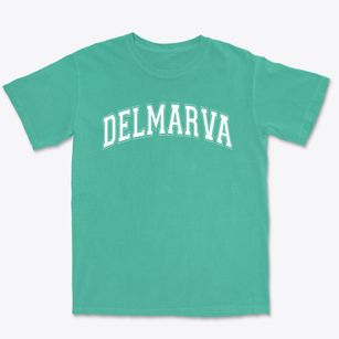 Delmarva Christian High School Varsity Arch Premium Heavyweight T-shirt