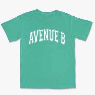 Avenue B Elementary School Varsity Arch Premium Heavyweight T-shirt