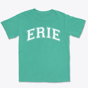 Erie Elementary School Varsity Arch Premium Heavyweight T-shirt