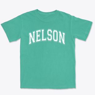 Nelson Elementary School Varsity Arch Premium Heavyweight T-shirt