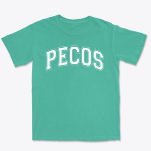 Pecos Elementary School Varsity Arch Premium Heavyweight T-shirt