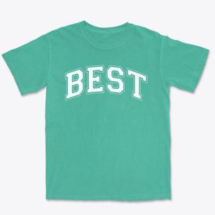 Buffalo Elementary School Of Technology Varsity Arch Premium Heavyweight T-shirt