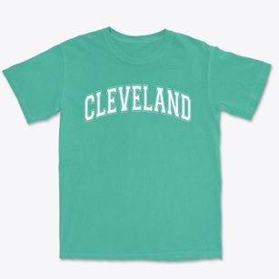 Cleveland Elementary School Varsity Arch Premium Heavyweight T-shirt