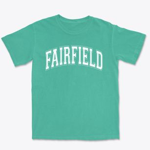 Fairfield Elementary School Varsity Arch Premium Heavyweight T-shirt