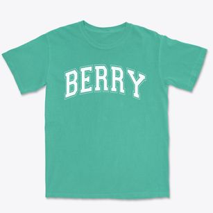 Berry Elementary School Varsity Arch Premium Heavyweight T-shirt